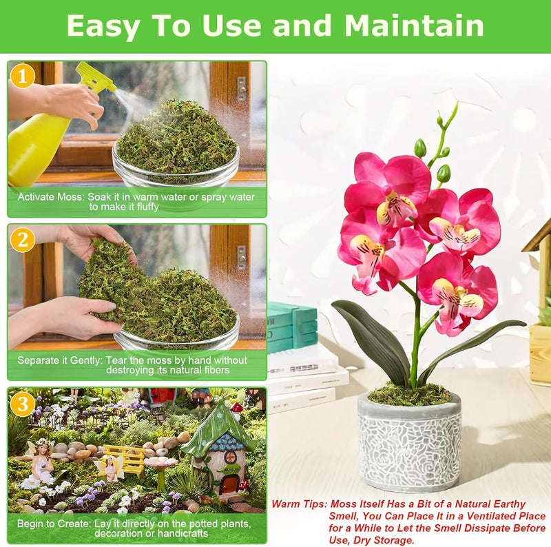 Legigo 1.3 LBS Green Moss for Crafts, Real Forest Moss for Plants Indoor, Table Decorative Centerpieces, Artificial Fairy Garden, Wedding Party Decor, Fake Potted Plants and DIY Craft Projects - Image 4